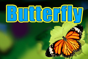 Butterfly | Гральні автомати Jokermonarch
