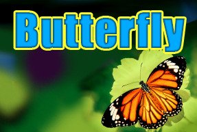 Butterfly | Slot machines Jokermonarch