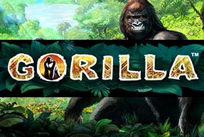 Gorilla | Гральні автомати Jokermonarch