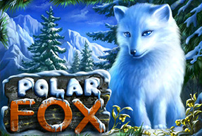 Polar Fox | Игровые автоматы Jokermonarch