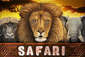 Safari | Slot machines Jokermonarch