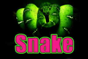 Snake | Гральні автомати Jokermonarch