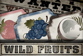 Wild Fruits | Slot machines Jokermonarch