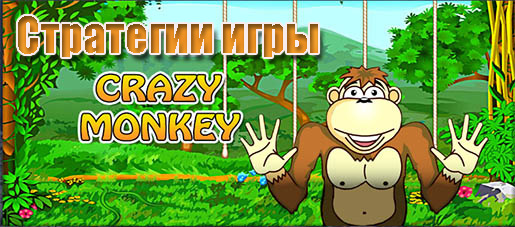 стратегии игры Crazy Monkey