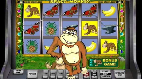 Crazy monkey — хітовий онлайн-слот